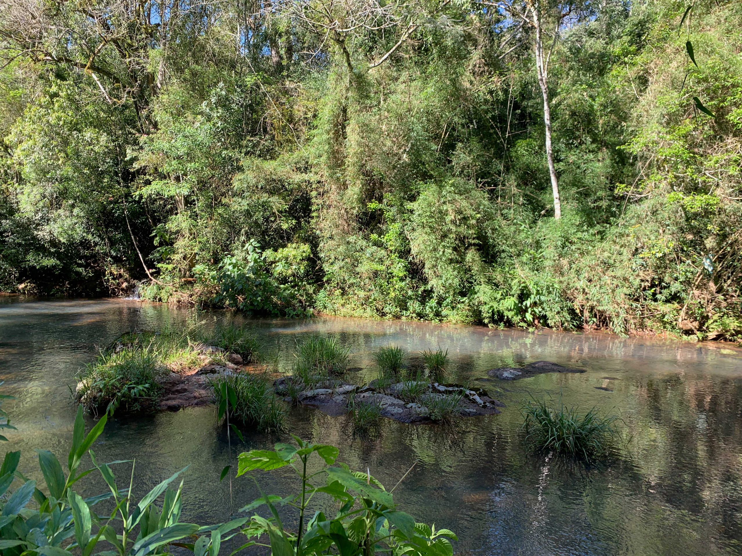 2la_coral_320x24020221004