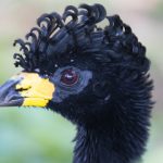 i30a3055 20180921tito