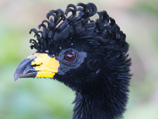 i30a3055 20180921tito