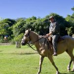 mario with new horse