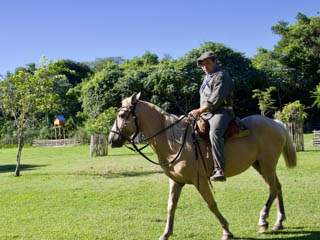 mario with new horse