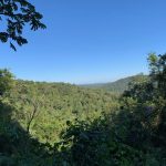 la_coral_320x24020221004