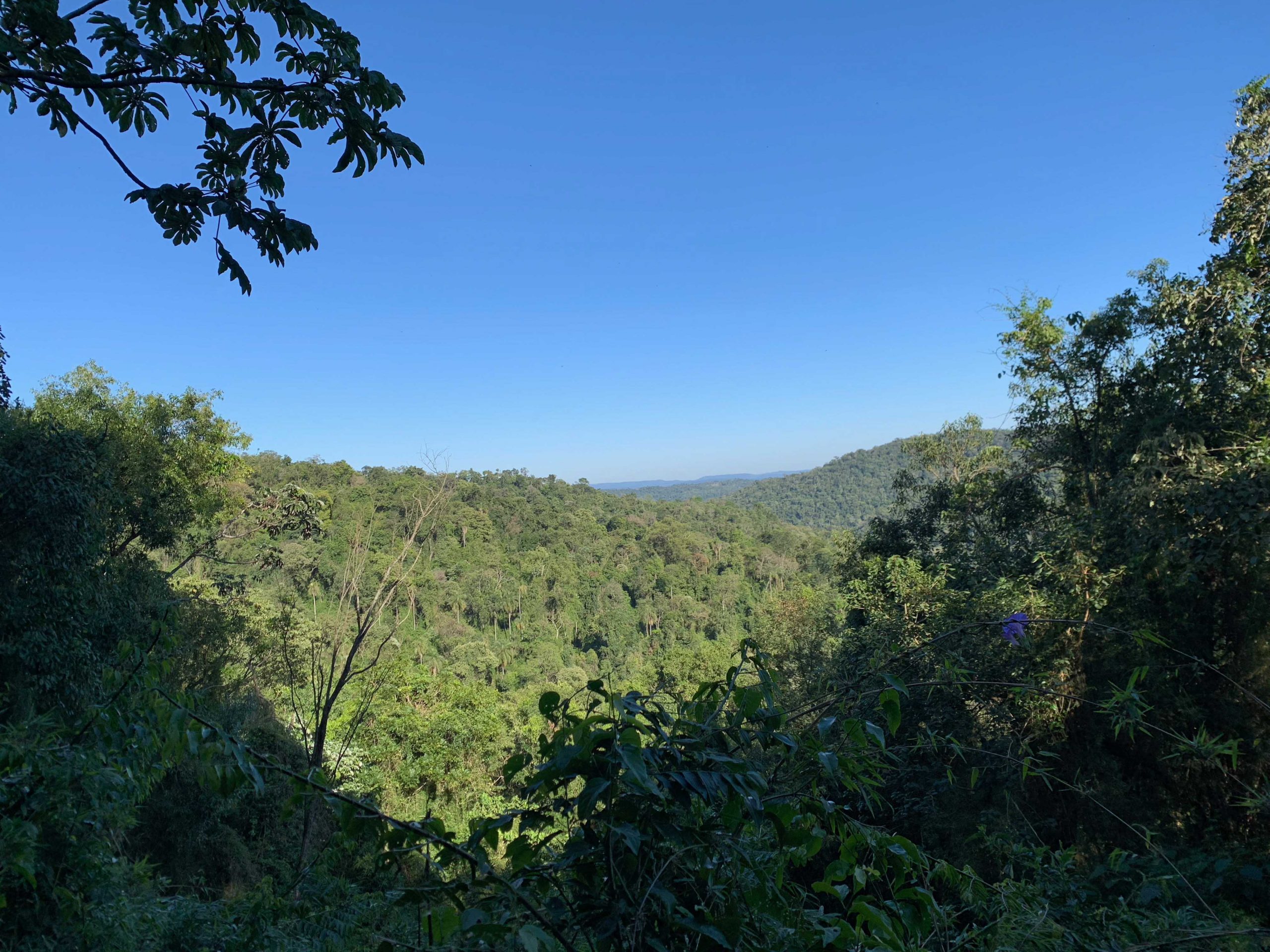 la_coral_320x24020221004