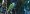 monk_parakeet