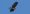snail_kite