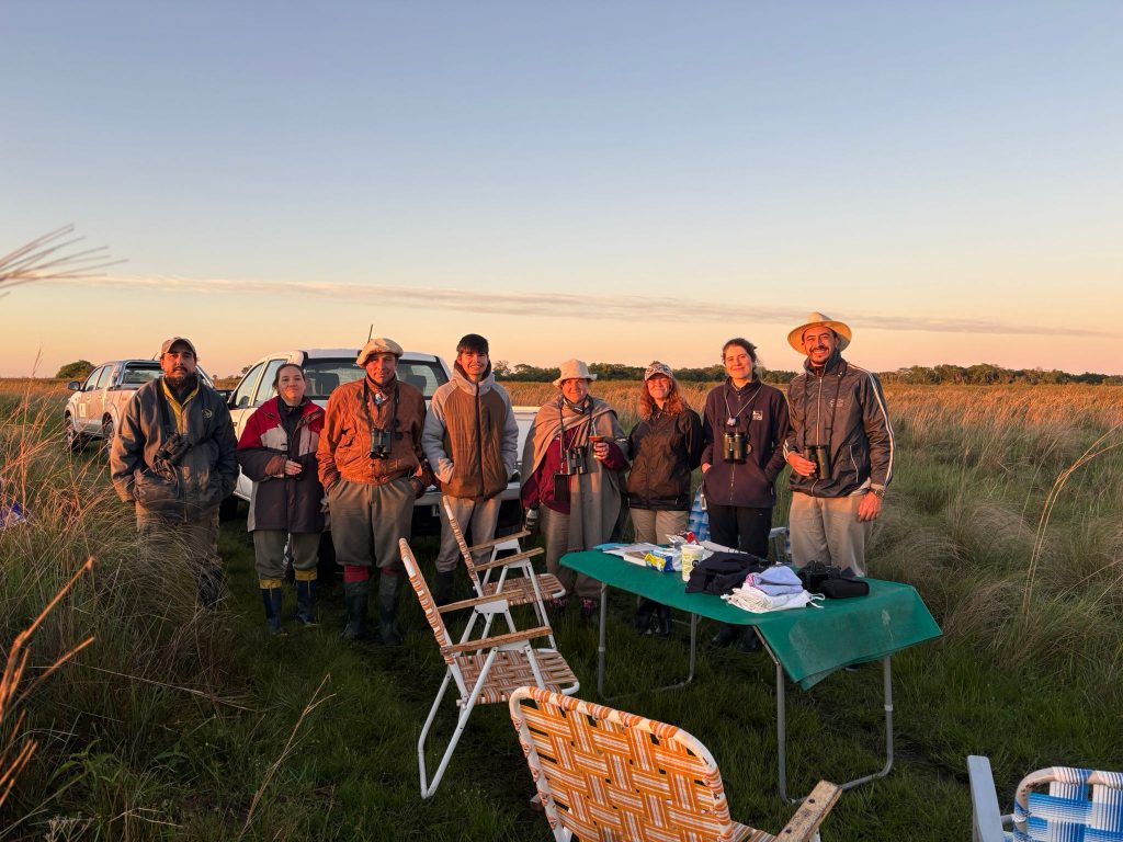 Team Ibera Seedeater