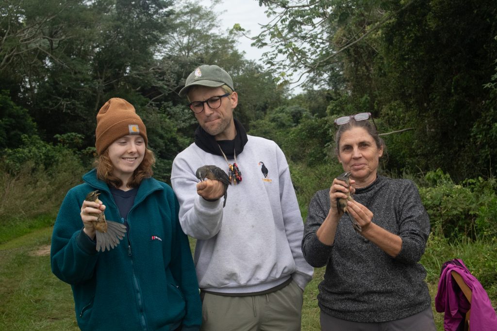 Bird Ringing