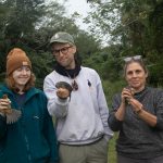 Bird Ringing